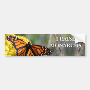 I Raise Monarchs Bumpersticker