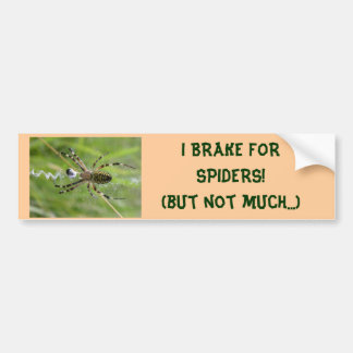 I REM FOR SPIDERS (not many) bumper sticker