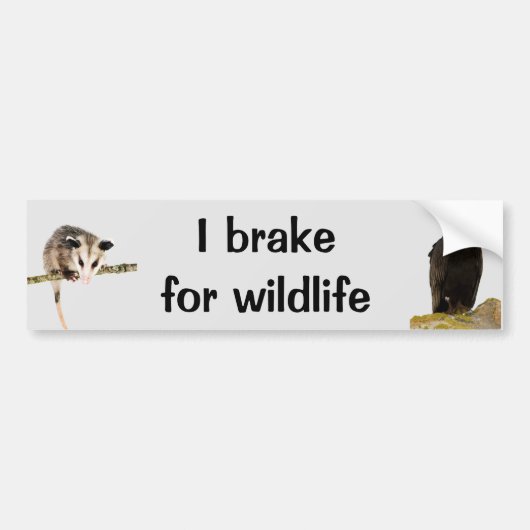 I Rem voor bumpersticker voor wilde dieren (Voorkant)