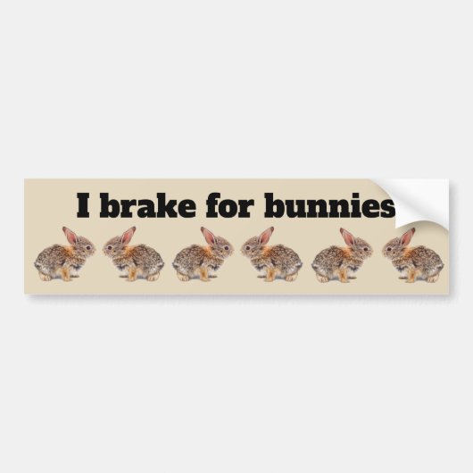 I Rem voor Bunnies Bumpersticker (Voorkant)