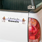 I Rem voor Camels Bumpersticker (Op Truck)