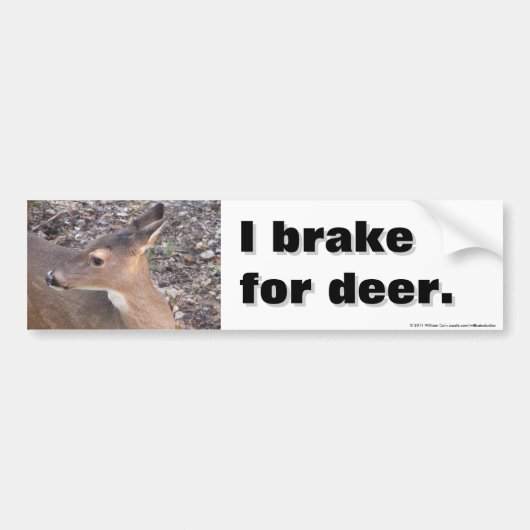 I Rem voor Deer Bumpersticker (Voorkant)