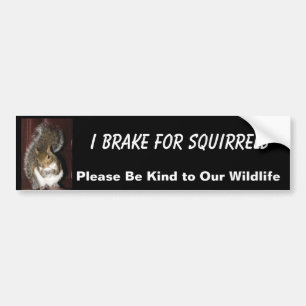 I Rem voor eekhoorntjes bumpersticker