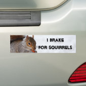 I Rem voor eekhoorntjes bumpersticker (Op auto)