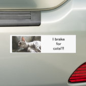 I Rem voor katten Bumpersticker (Op auto)