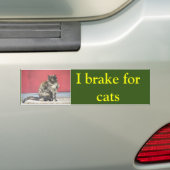 I rem voor katten bumpersticker (Op auto)