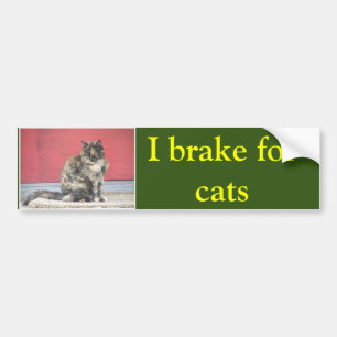 I rem voor katten bumpersticker