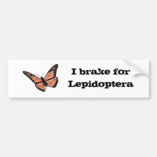 I rem voor Lepidoptera Bumpersticker