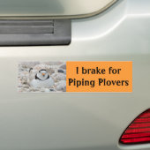 I rem voor pijpleidingpompen bumpersticker (Op auto)