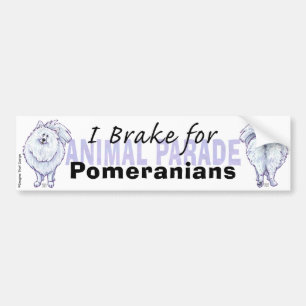 I Rem voor Pommeren Bumpersticker
