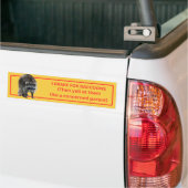 I Rem voor Raccoons Bumpersticker (Op Truck)