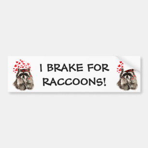 I Rem voor RACCOONS FUNNY ANIMAAL QUOTE Bumpersticker