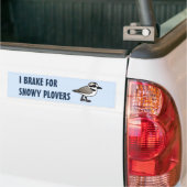 I Rem voor Snowy Plovers Bumpersticker (Op Truck)