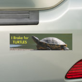 I Rem voor TURTLES Bumpersticker (Op auto)