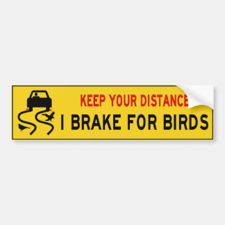 I rem voor vogels met bumpersticker