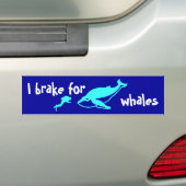 I rem voor walvissen bumpersticker (Op auto)