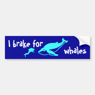 I rem voor walvissen bumpersticker