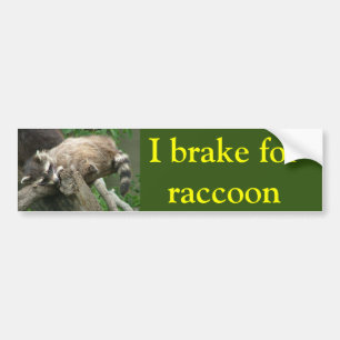 I rem voor wasgoed bumpersticker