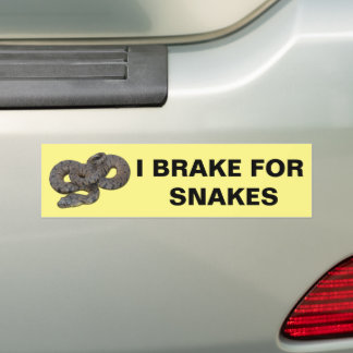 I remmen voor slangen Bumpersticker