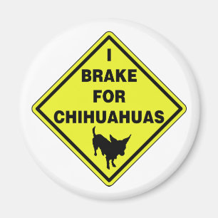 I remt voor Chihuahuas Magneet