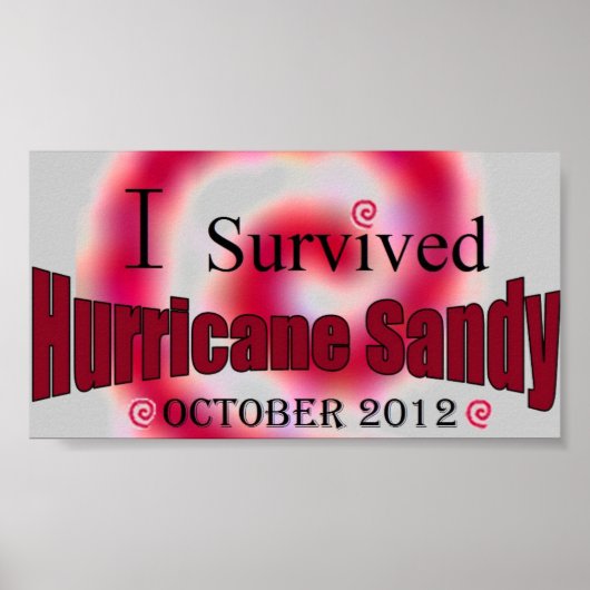I Survive Hurricane Sandy Poster (Devant)