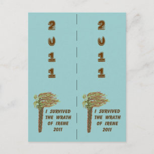 I Survived Irene Bookmarkers Briefkaart