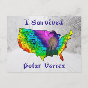I Survived Polar Vortex Briefkaart