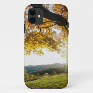 I-TELEFOON-HOESJE - AUTUMNLEZEN iPhone 11 HOESJE