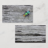 i vliegen visitekaartje (Voorkant / Achterkant)