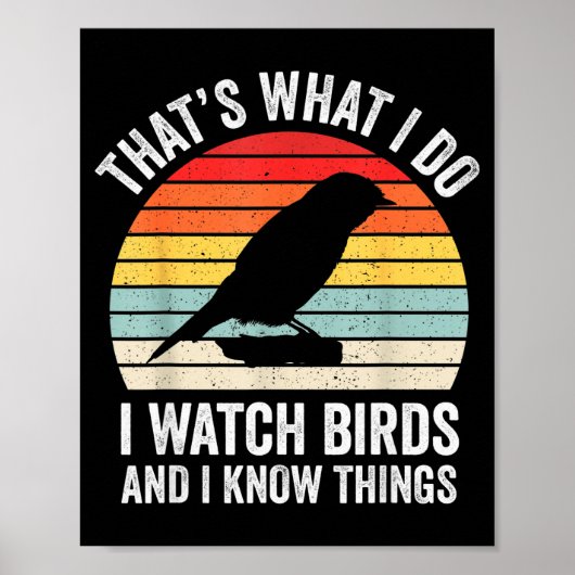 I Watch Birds I Know Things Funny Birdwatcher Bird Poster (Voorkant)