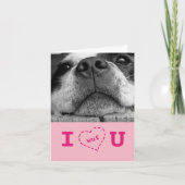 I Wuf u Doggie Valentijn Feestdagen Kaart (Voorkant)