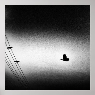 Ianiverse Noir (de missie) Poster