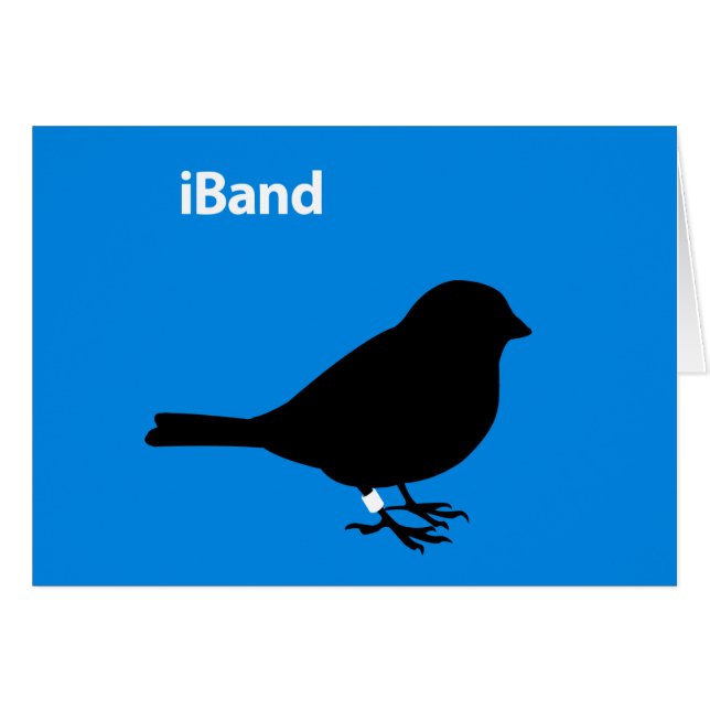 iBand blauw (Voorkant Horizontaal)