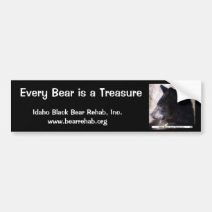 IBBR-Bumpersticker - Ruggles Bumpersticker
