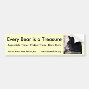 IBBR-Bumpersticker - Ruggles Bumpersticker