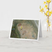 Iberische kikkers kaart (Gele Bloem)