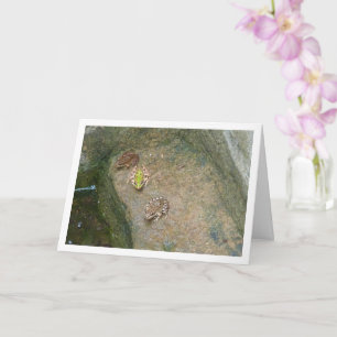 Iberische kikkers kaart