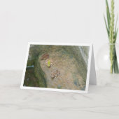 Iberische kikkers kaart (Voorkant)