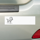 Ibex Bumpersticker (Op auto)