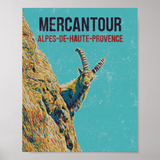 Ibex in de Mercantour, Alps, Frankrijk Poster (Voorkant)