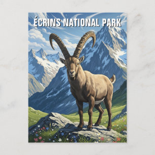 Ibex in Écrins Nationaal Park Frankrijk Reizen Briefkaart
