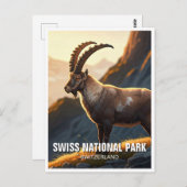 Ibex in het Zwitserse nationale park Briefkaart (Voorkant / Achterkant)