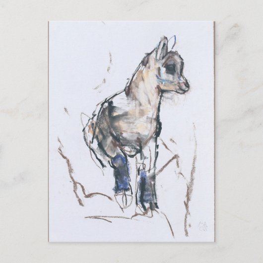 Ibex-Kind Briefkaart (Voorkant)