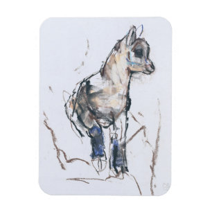 Ibex-Kind Magneet
