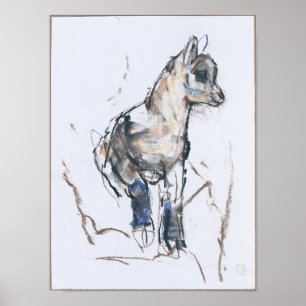 Ibex-Kind Poster