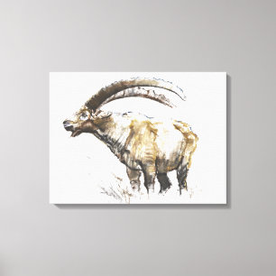 Ibex Noasca Canvas Afdruk