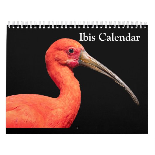 Ibis 2025 Kalender (Hoes)