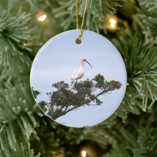 Ibis Bird Ornament (Boom)