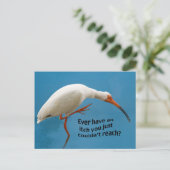 Ibis blanc avec carte postale Itch (Debout devant)