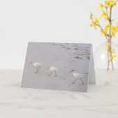 IBIS blanc sur la carte de voeux de plage (Fleur jaune)